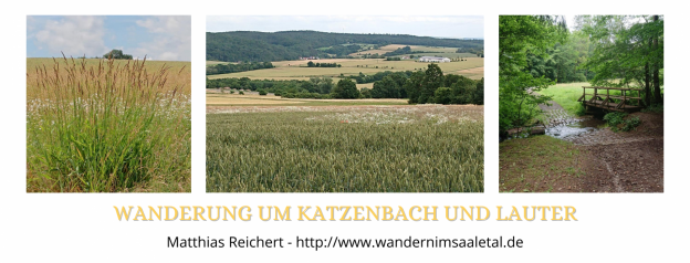 Wanderung rund um Katzenbach und Lauter