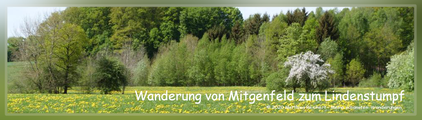 Wanderung zum Lindenstumpf Matthias Reichert