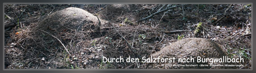 Wanderung nach Burgwallbach Matthias Reichert