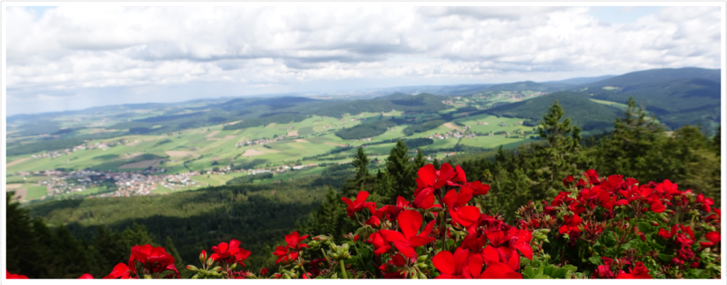 Mein Wanderurlaub in der Oberpfalz - Aussicht vom Berghaus Schönblick